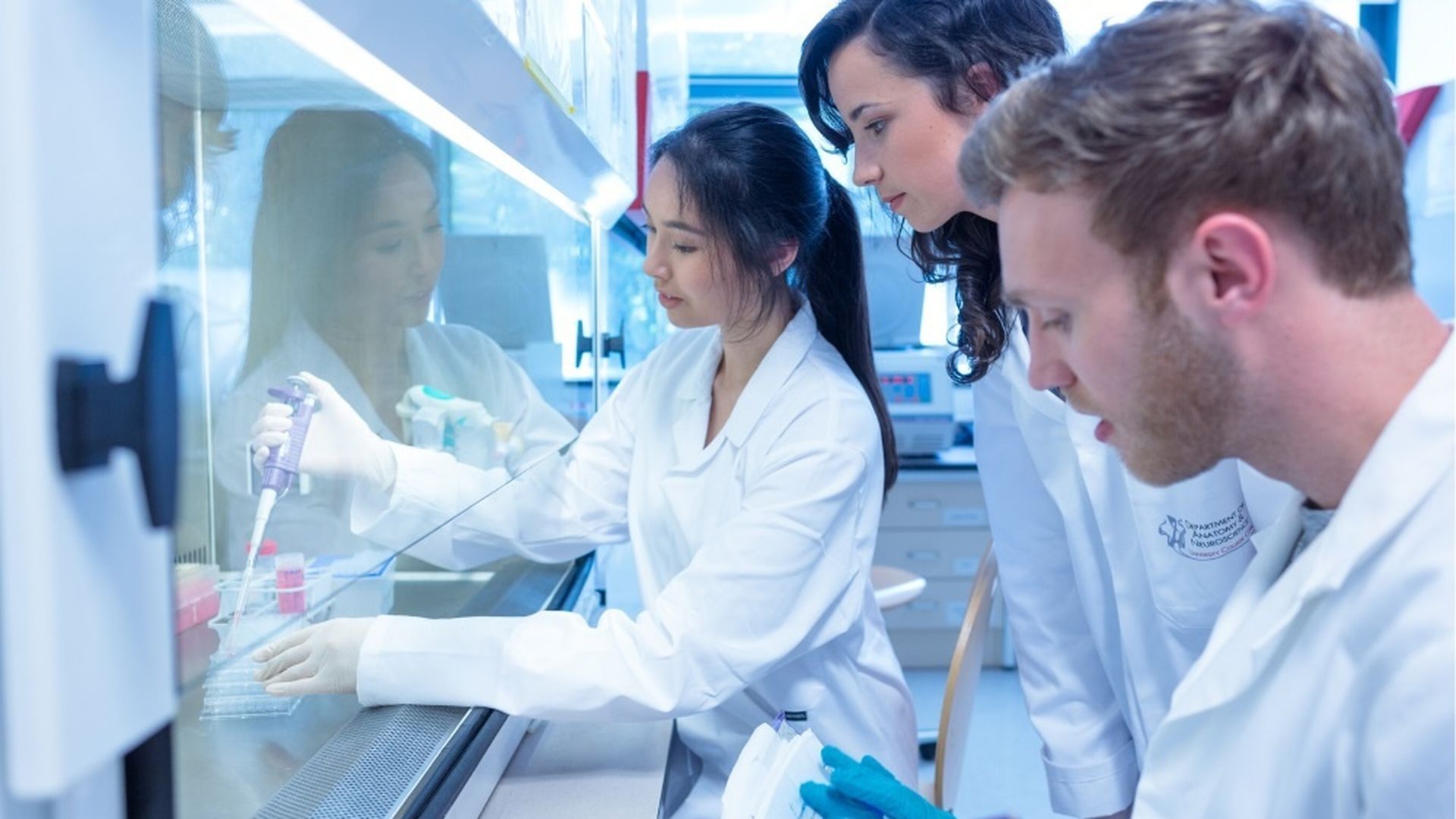 Trabajadores becarios en prácticas en un laboratorio de investigación científica