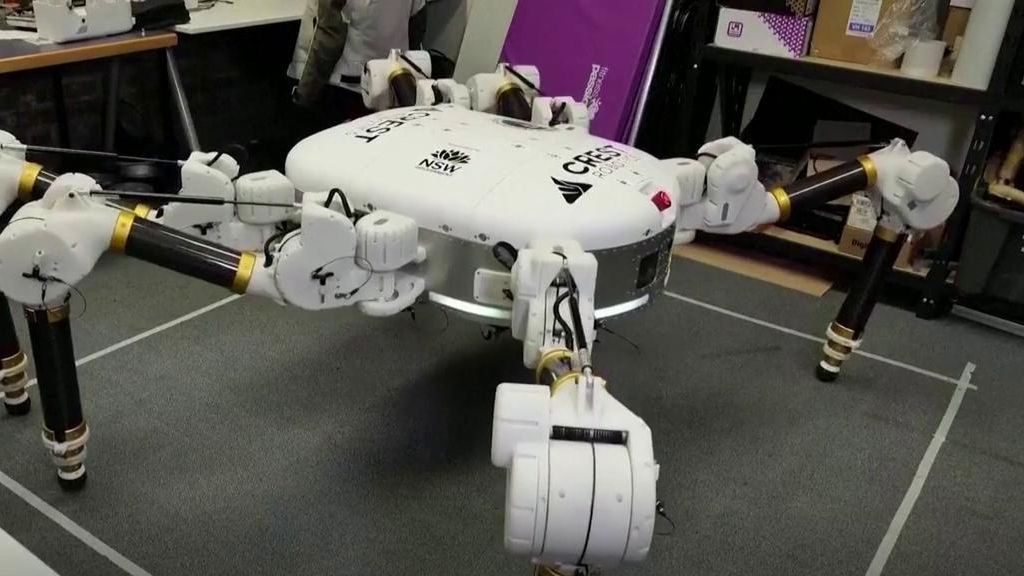 Charlotte, el robot que trabaja como 100 albañiles: construye casas sostenibles en 24 horas