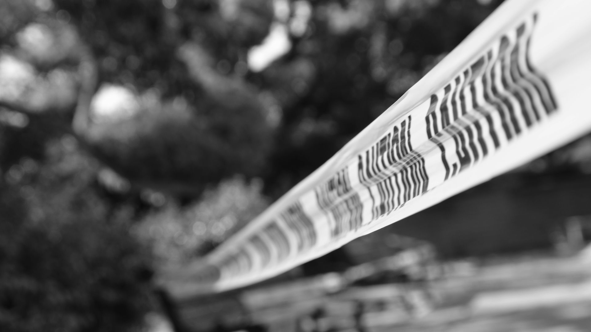 escenario crimenes unsplash