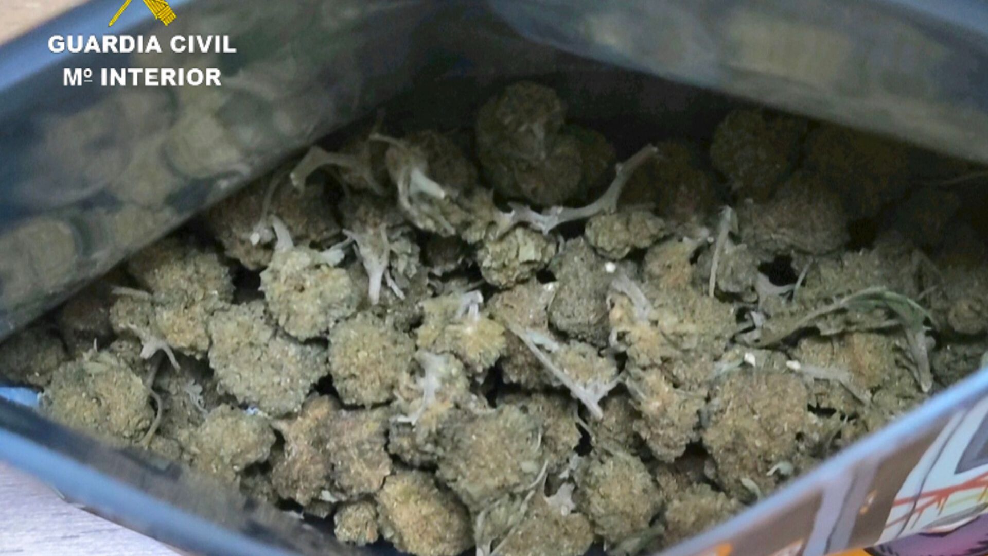 20251105 COGOLLOS CALDAS (2)