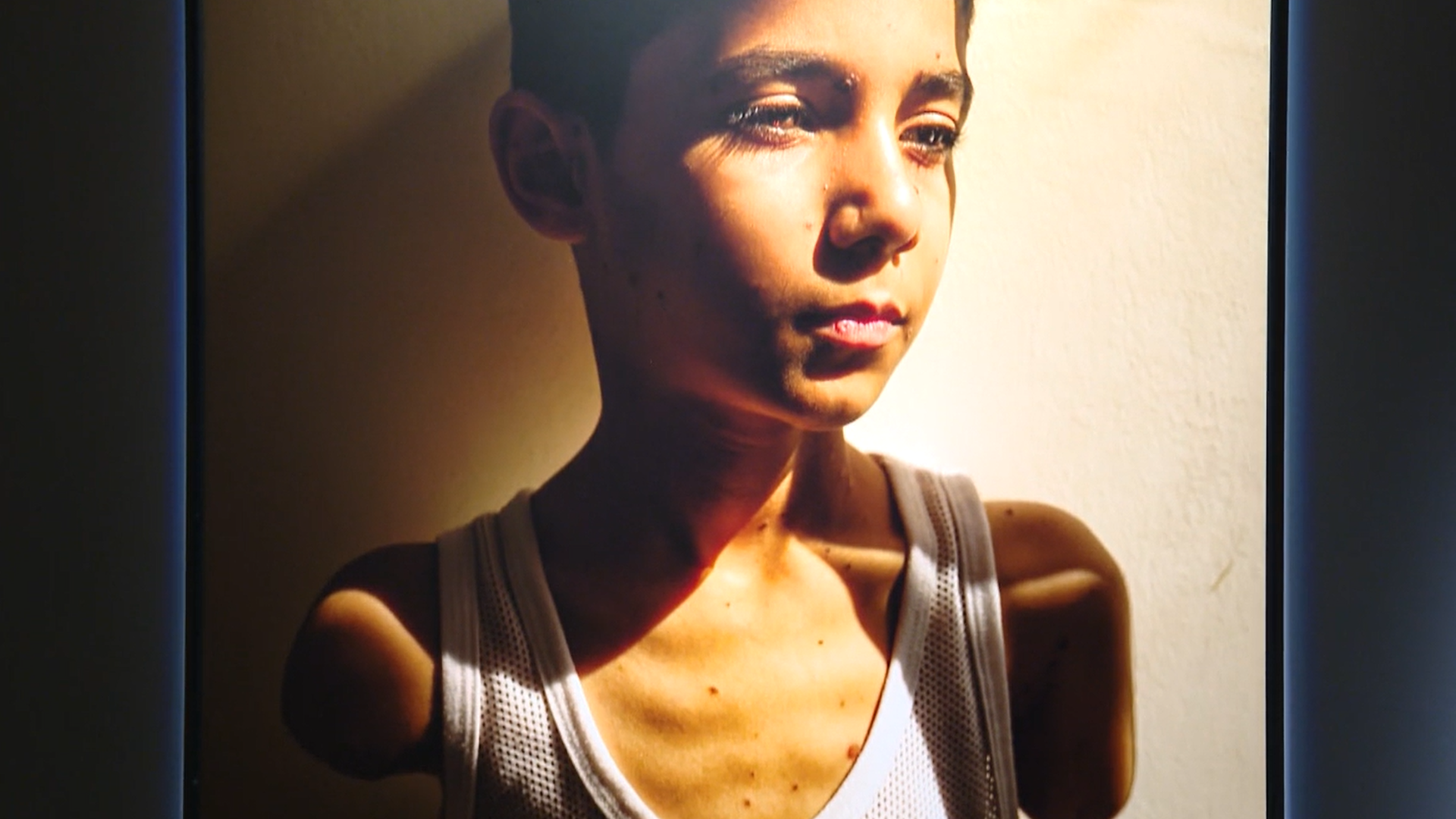 Desde la guerra en Palestina hasta la polarización política: las fotos ganadoras del prestigioso premio World Press Photo