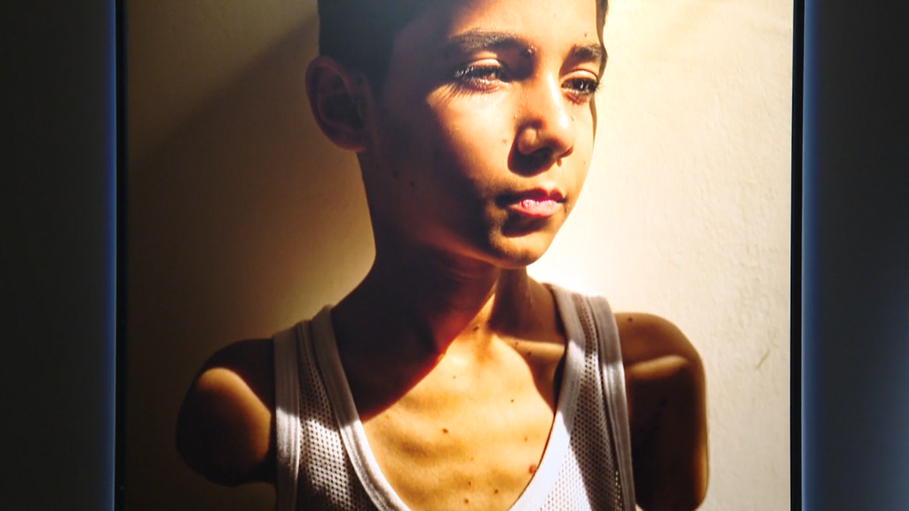 Desde la guerra en Palestina hasta la polarización política: las fotos ganadoras del prestigioso premio World Press Photo