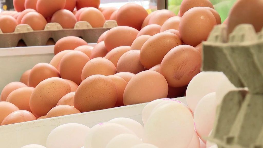 El precio del huevo se dispara un 50% en 2025 por los efectos de la gripe aviar: "Hay que tener gallinas en el jardín"