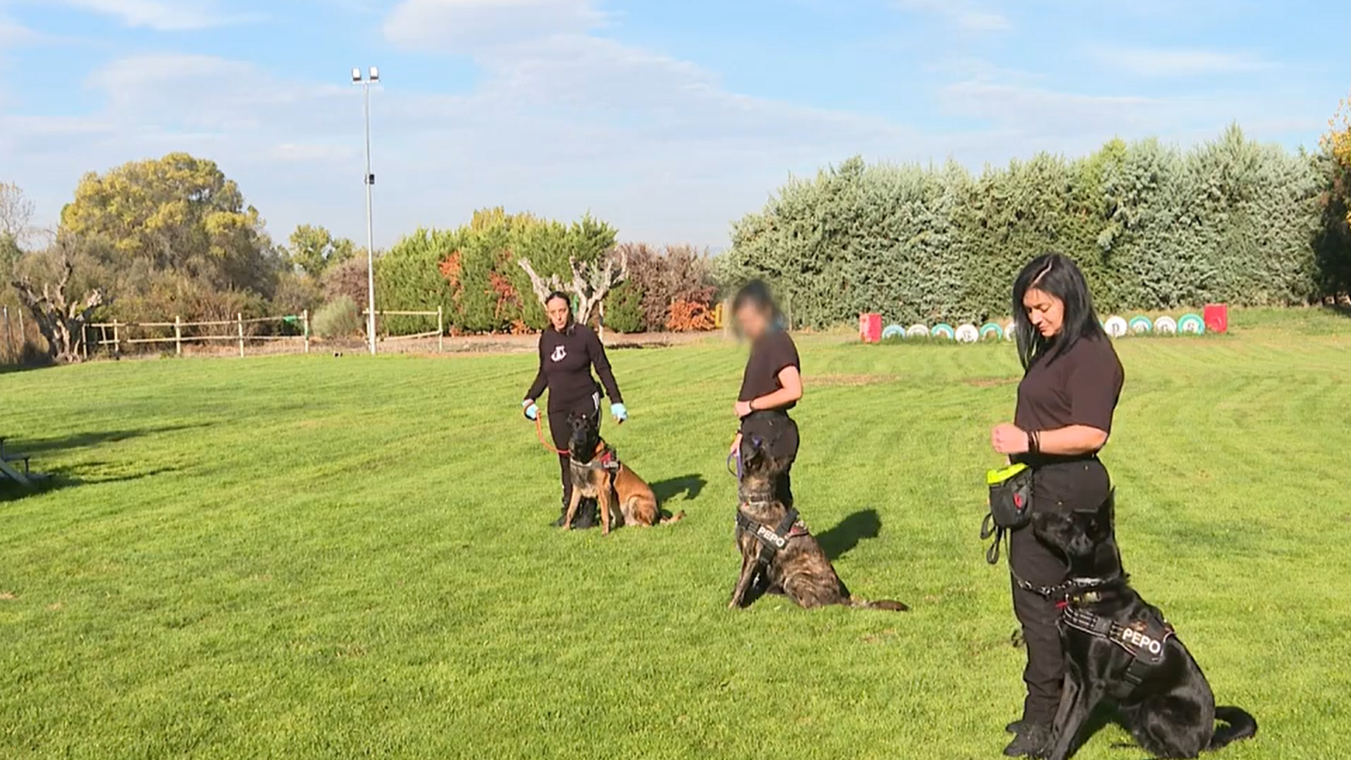 Imagen de los perros en el entrenamiento para la protección de víctimas de violencia de género