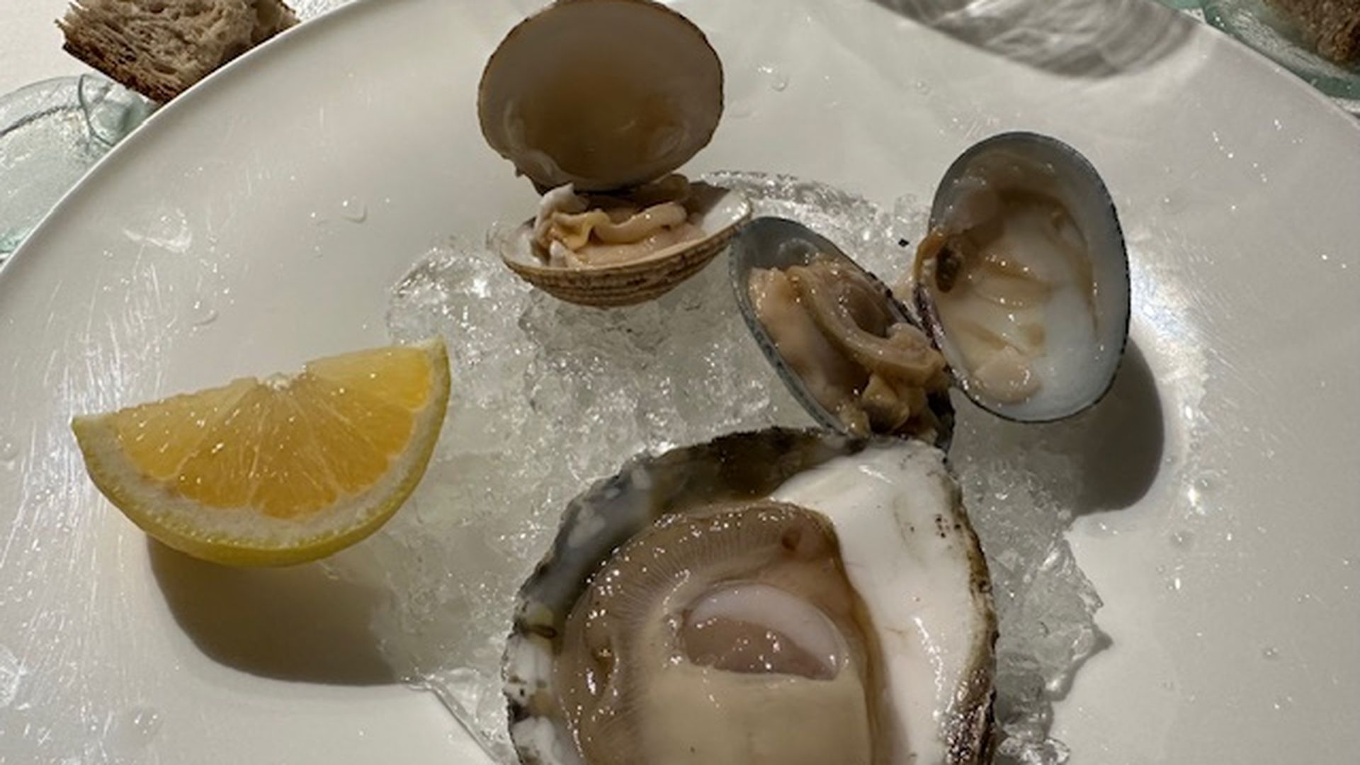 La trilogía de concha: carneiro (escupiña), almeja fina y ostra