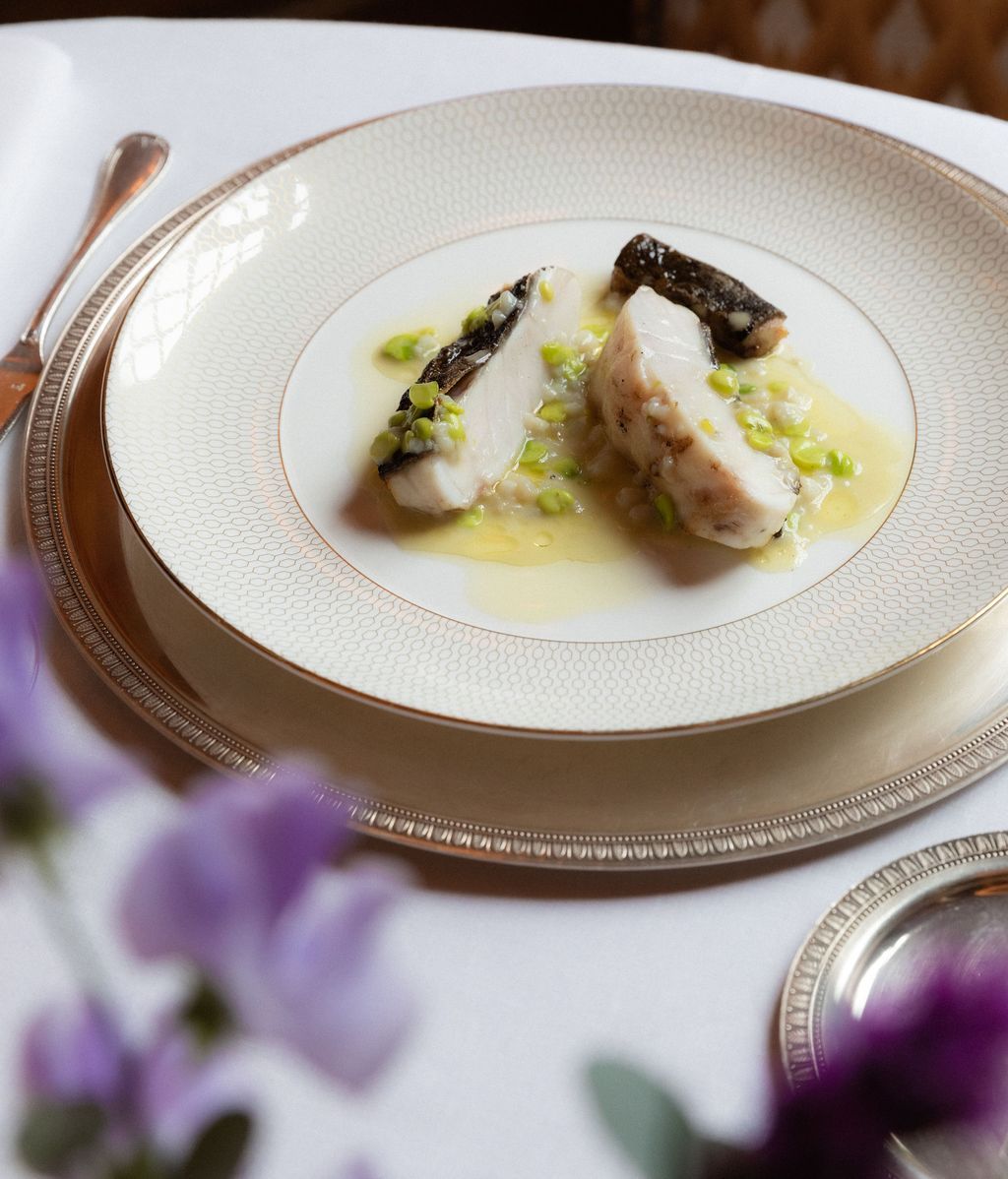 Lomo de merluza al vapor con salsa de cava y caviar cítrico