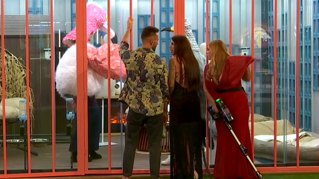 Visitas a la pajarera