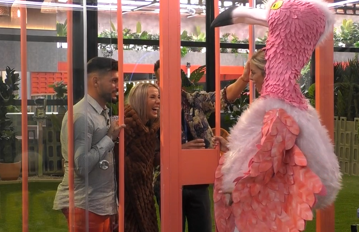 Visitas a la pajarerea