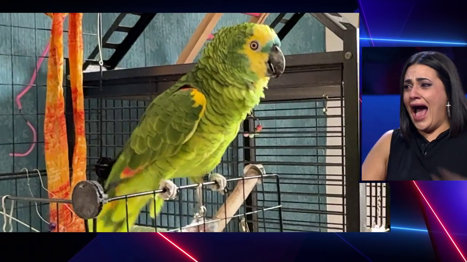 vlcsnap-2025-11-07-00h18m20s788