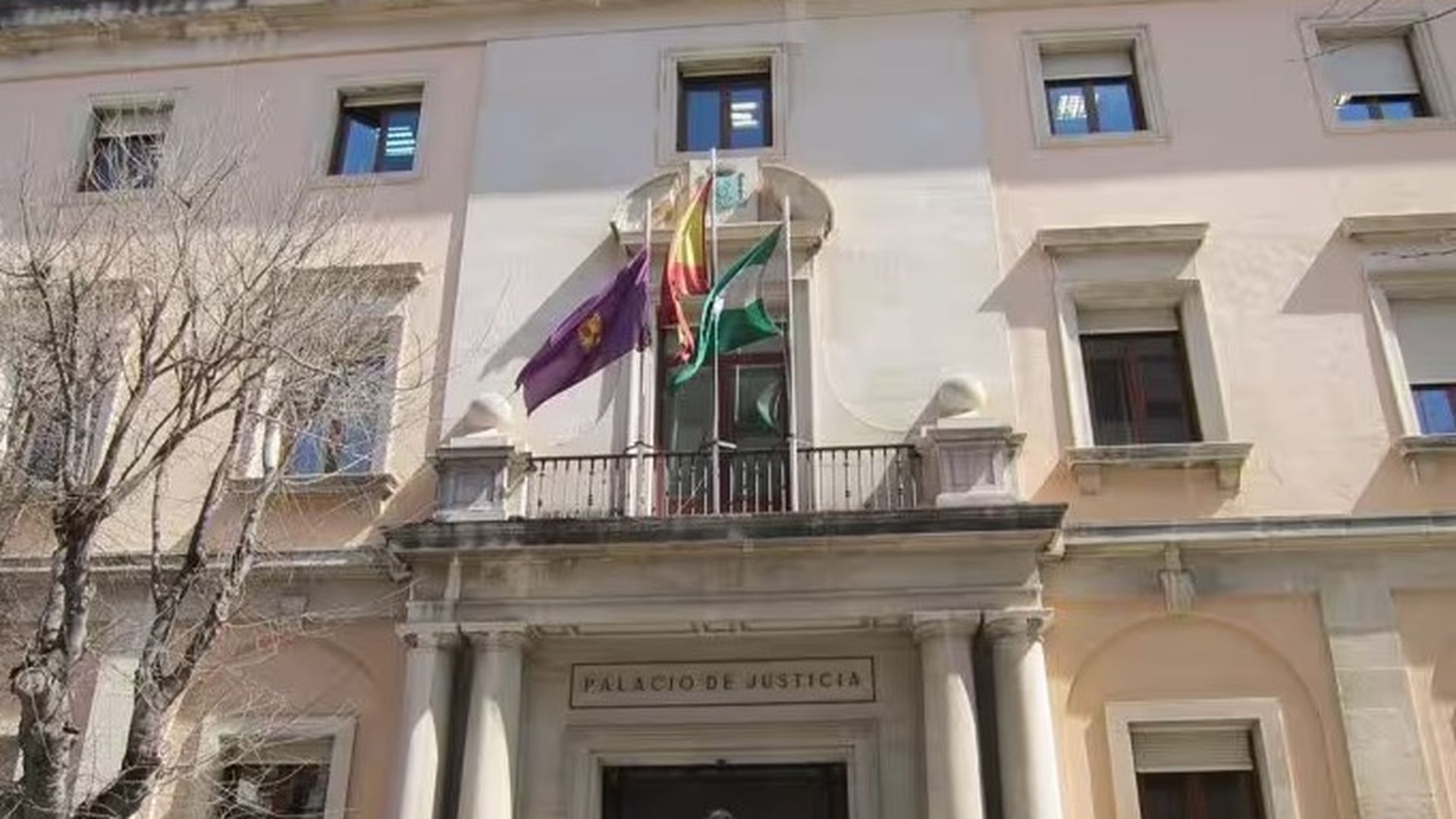 Multan con 600 euros a un vecino de Los Villares de Andújar, Jaén, por pegar una patada a un gato callejero