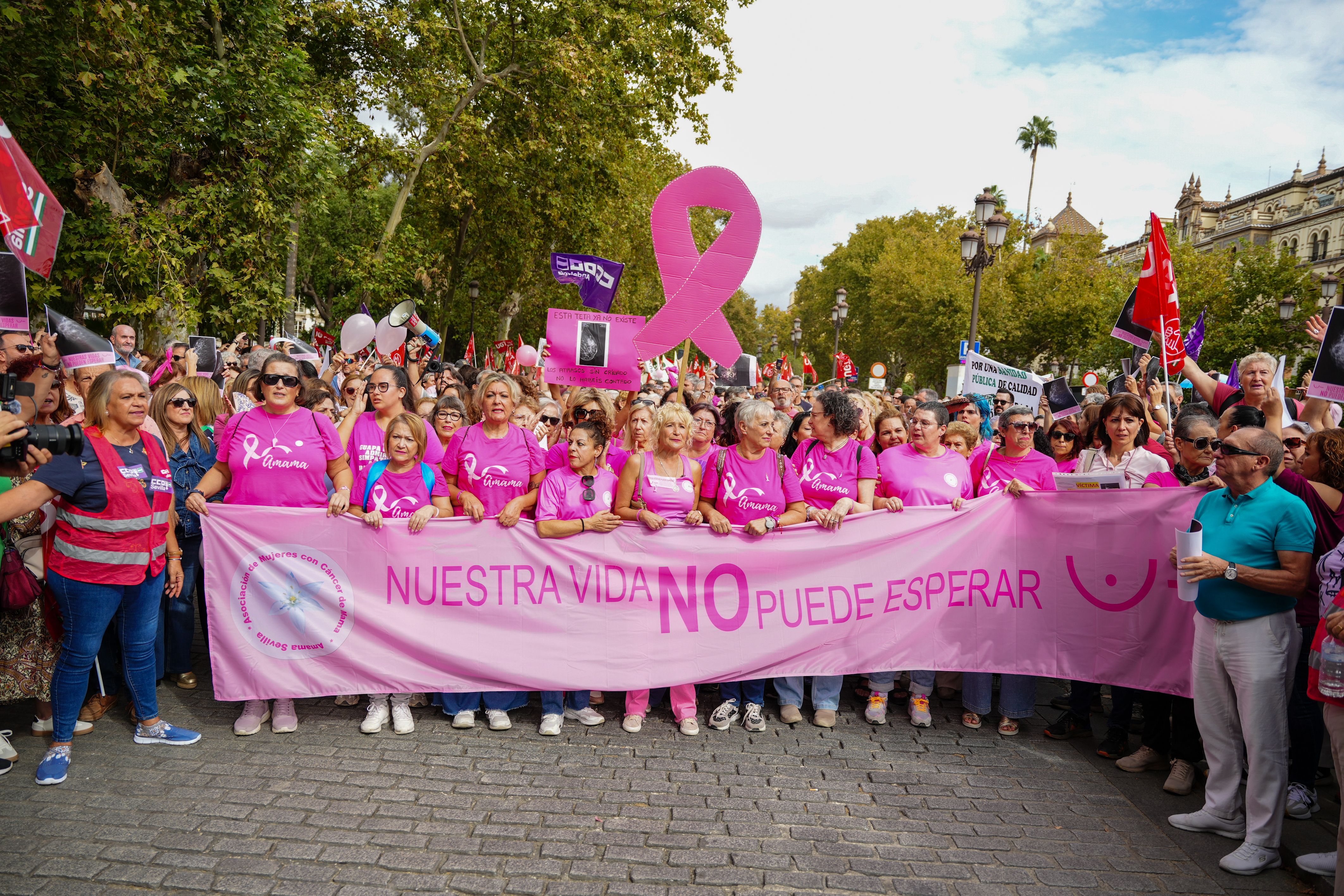 Manifestación de Amama a finales de octubre en Sevilla capital