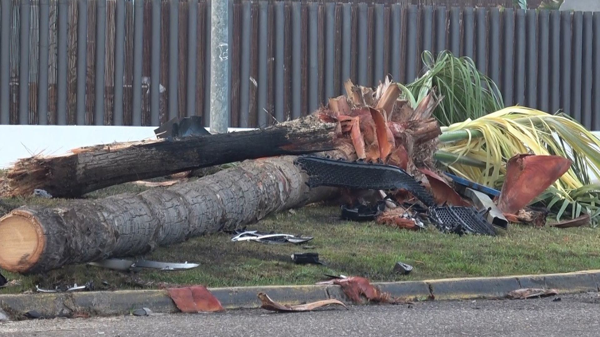 Así ha quedado el lugar del accidente de Cayetano Rivera: restos y palmeras derribadas