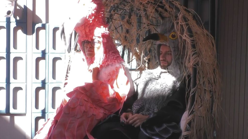 Diseño sin título (25)