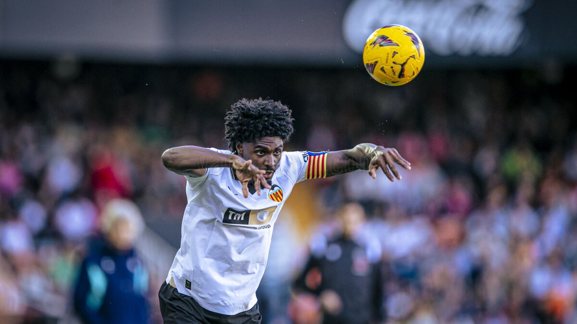 1713633871webvcfbetis002819_forcrop.jpg 1713633871webvcfbetis002819_forcrop.jpg