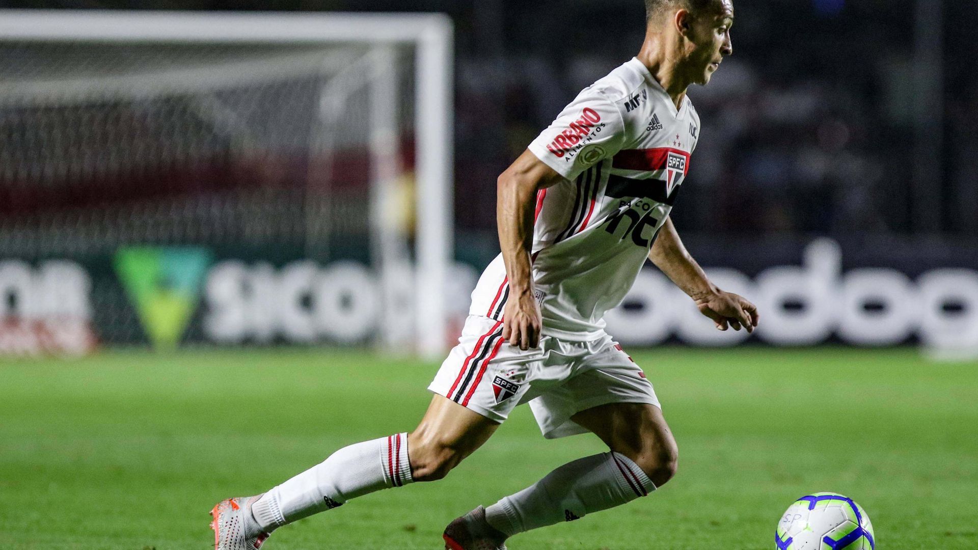 20190915_zaa_p133_450jpg.jpg 20190915_zaa_p133_450jpg.jpg