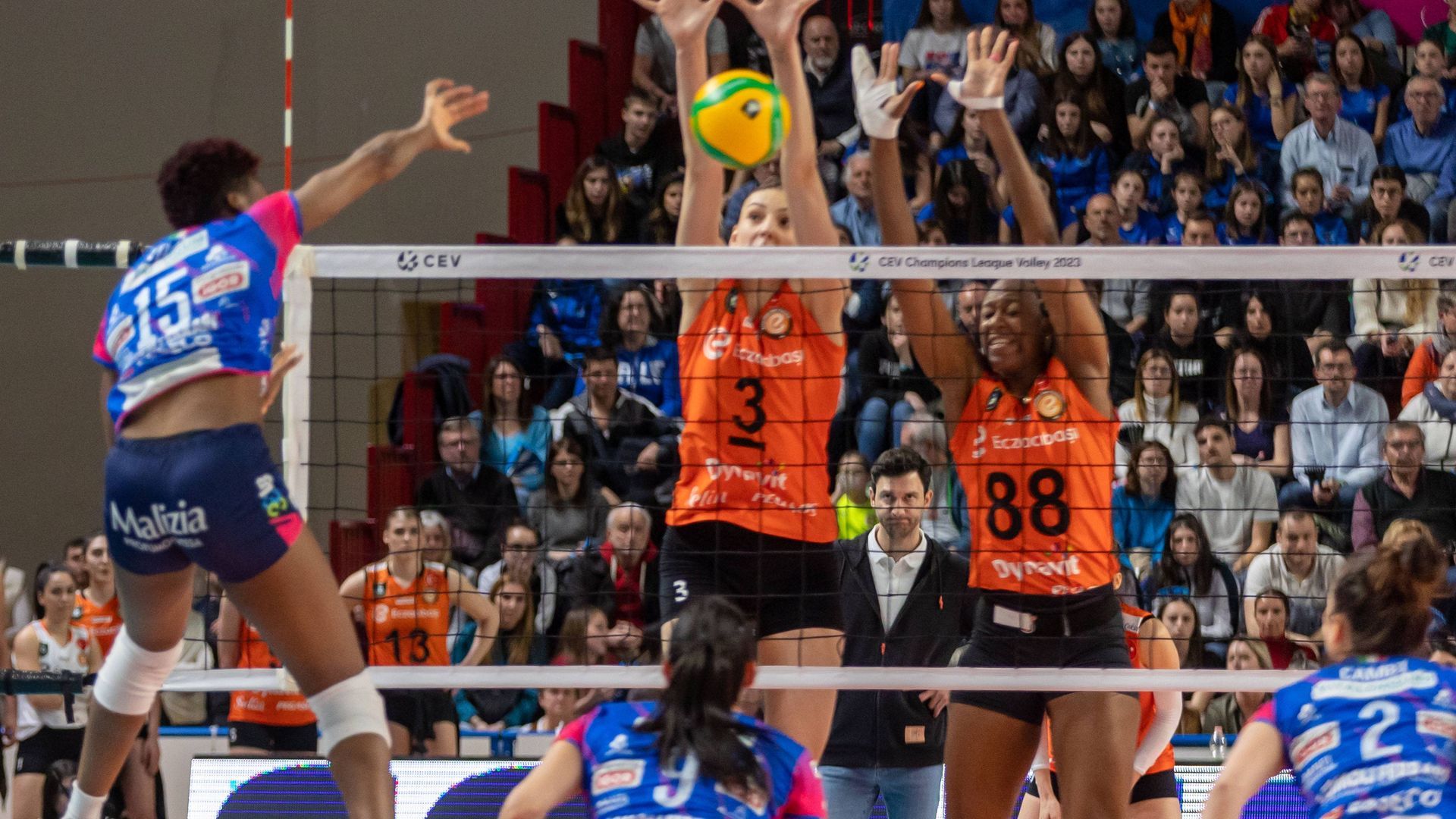 20230405_zsa_l164_279_1.jpg 20230405_zsa_l164_279_1.jpg