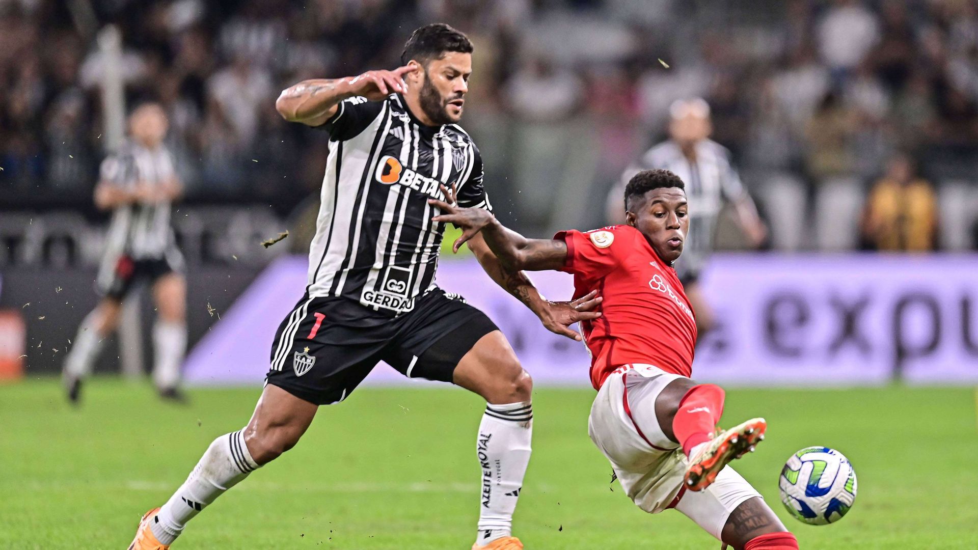 20230513_zsa_s248_198.jpg 20230513_zsa_s248_198.jpg