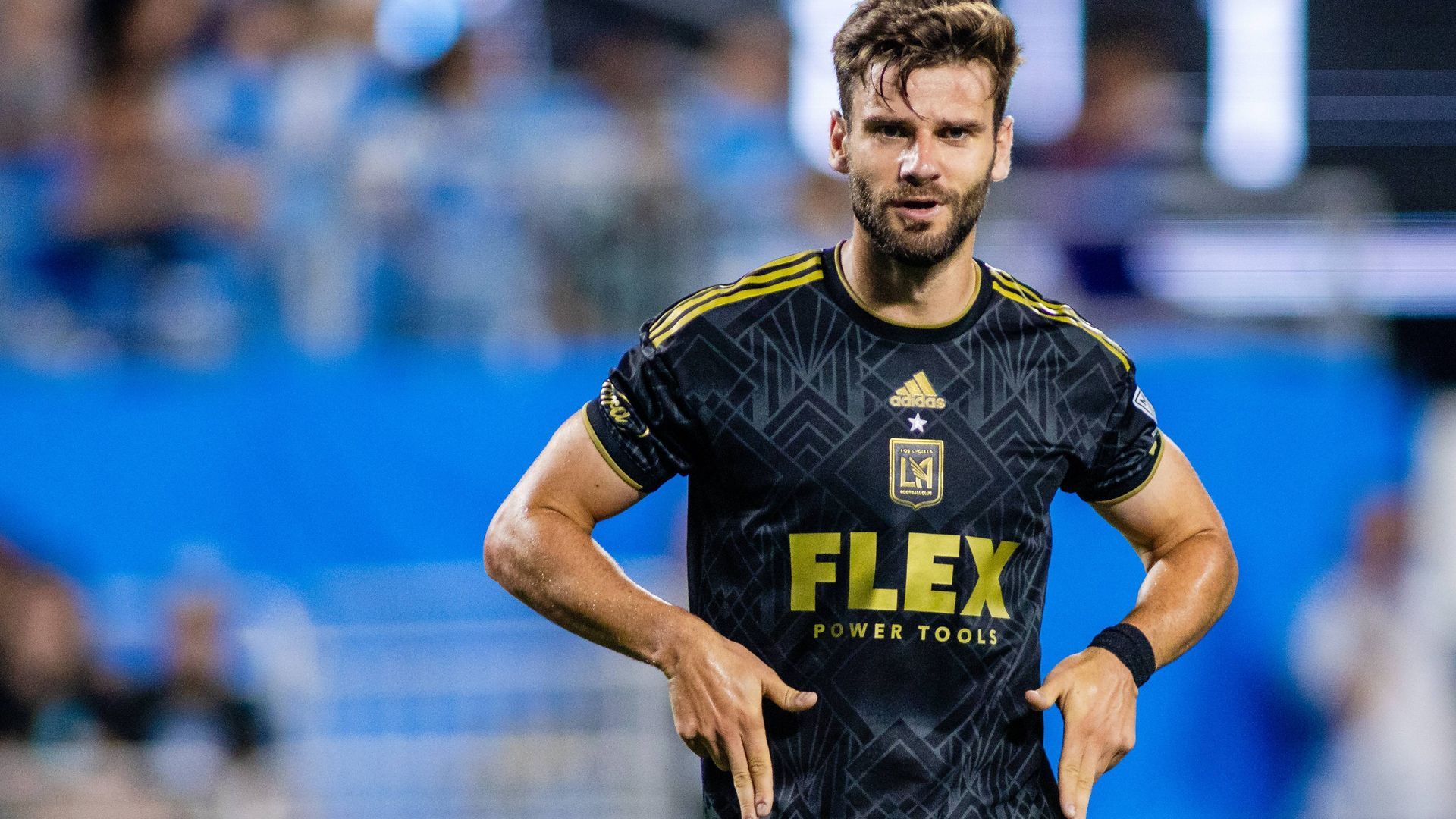 20230826_zma_c04_175jpg.jpg 20230826_zma_c04_175jpg.jpg