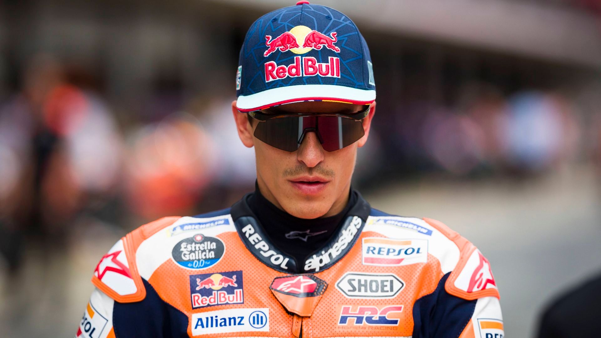 20230903_zsa_a193_250.jpg 20230903_zsa_a193_250.jpg