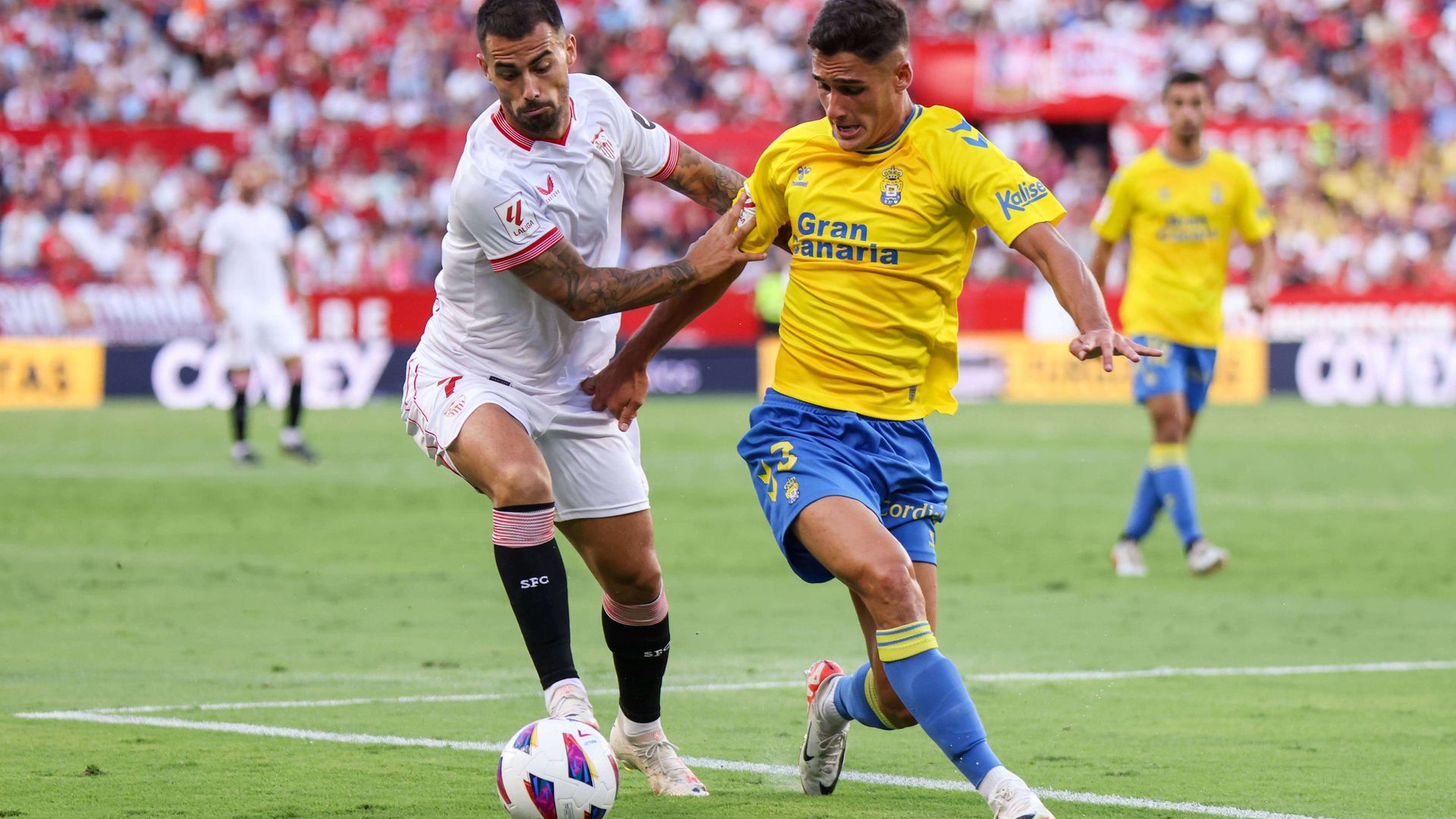 20230917_zia_d159_055jpg.jpg 20230917_zia_d159_055jpg.jpg