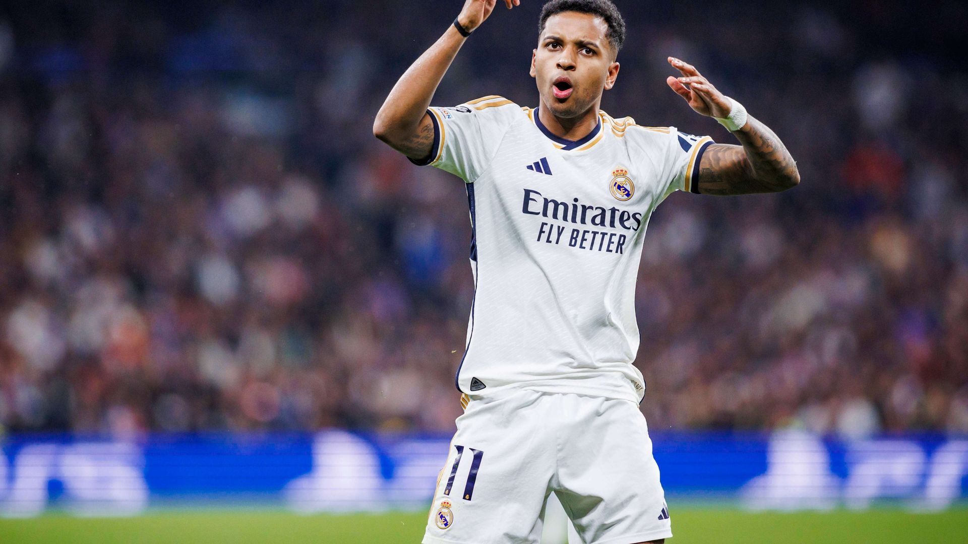 20240306_zia_d159_071jpg_001.jpg 20240306_zia_d159_071jpg_001.jpg