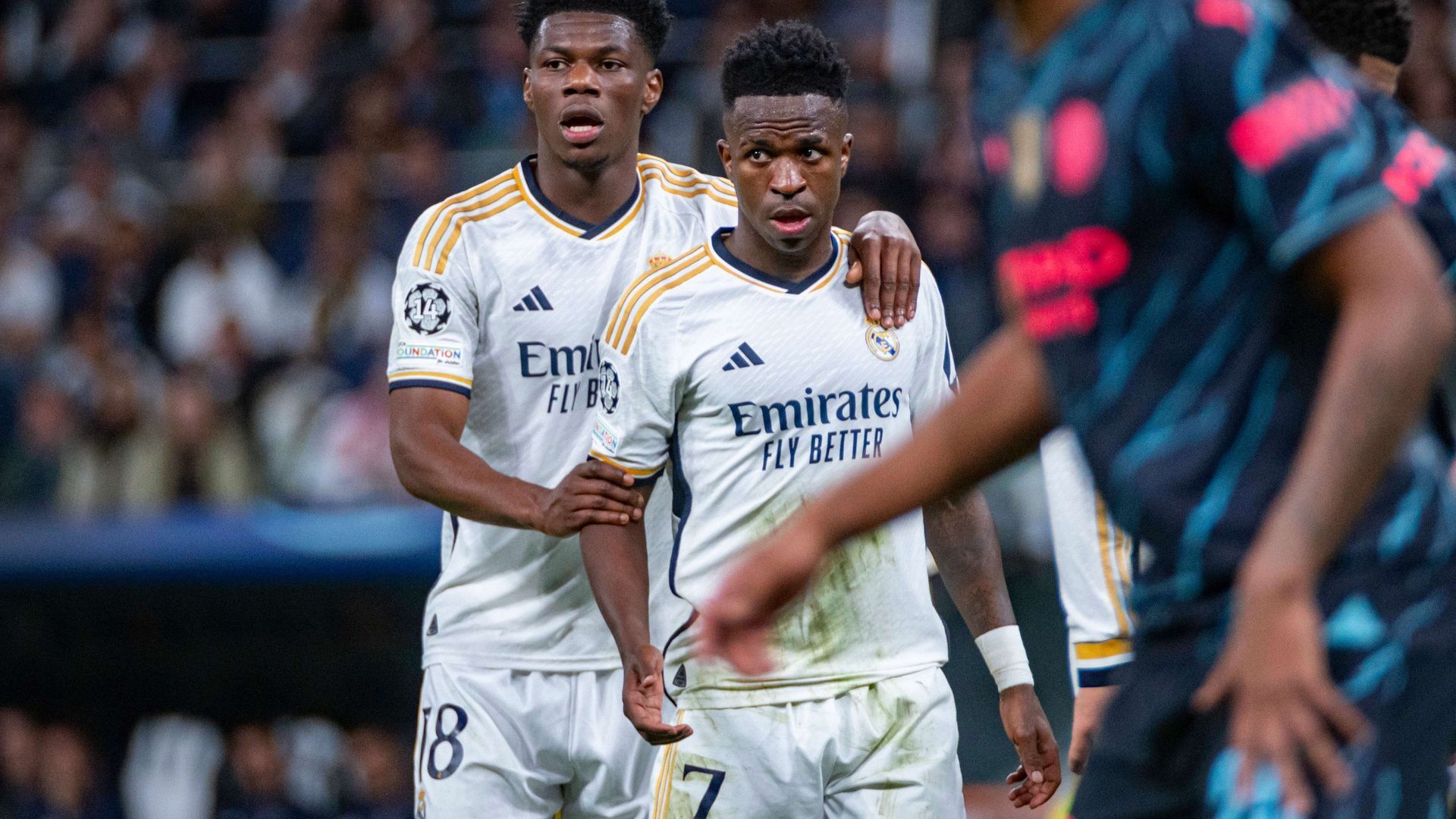 20240409_zsp_g251_077jpg_001.jpg 20240409_zsp_g251_077jpg_001.jpg