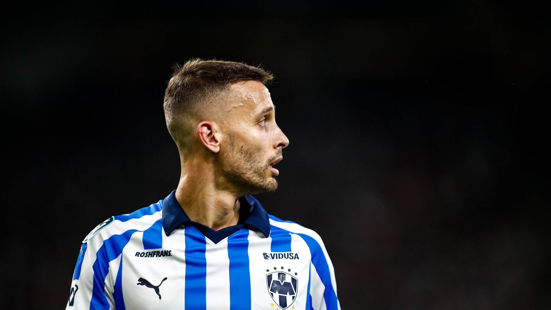 20240410_zsa_p175_024.jpg 20240410_zsa_p175_024.jpg