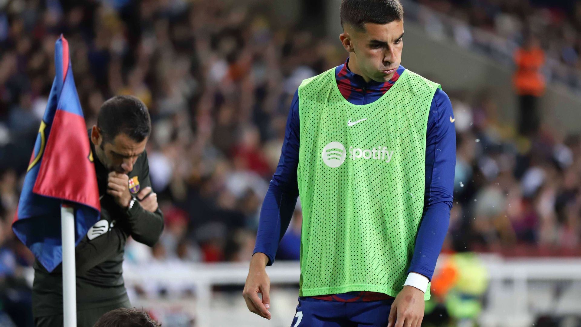 20240513_zsp_u50_053jpg.jpg 20240513_zsp_u50_053jpg.jpg