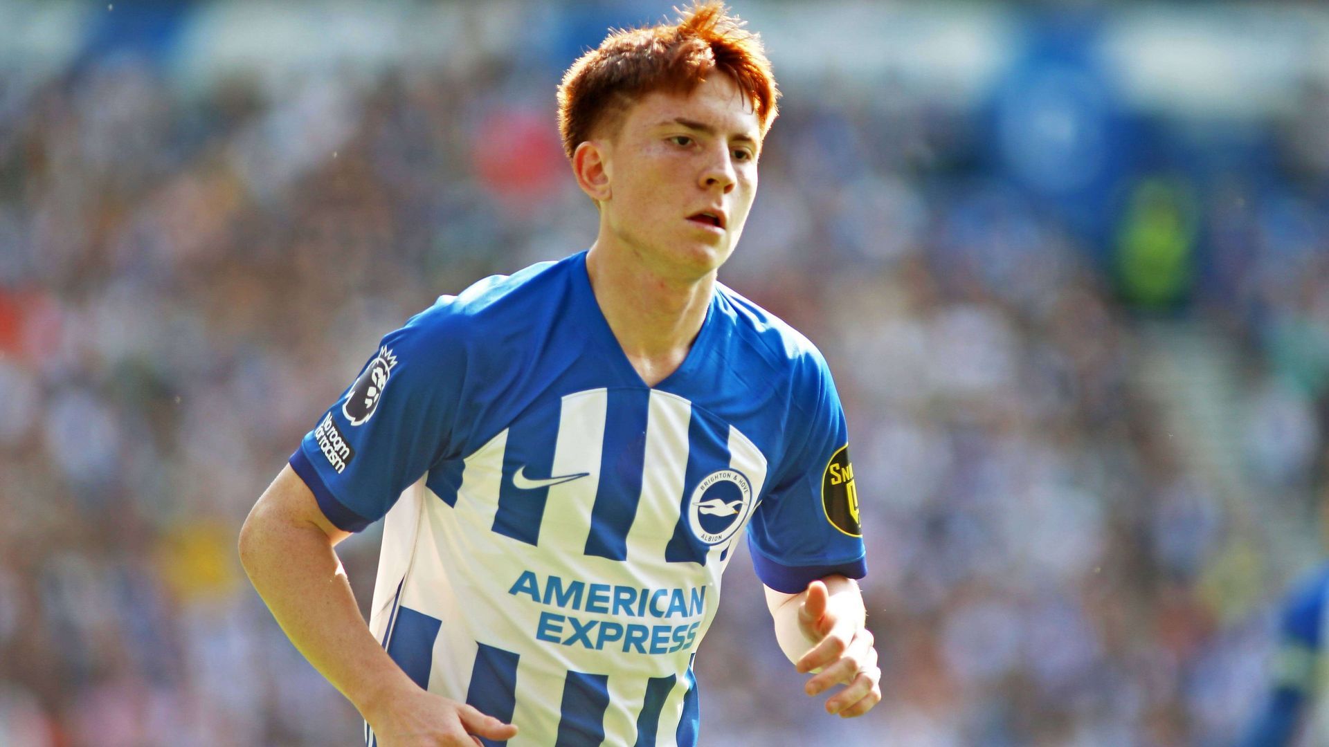 20240519_zsa_s248_096jpg.jpg 20240519_zsa_s248_096jpg.jpg