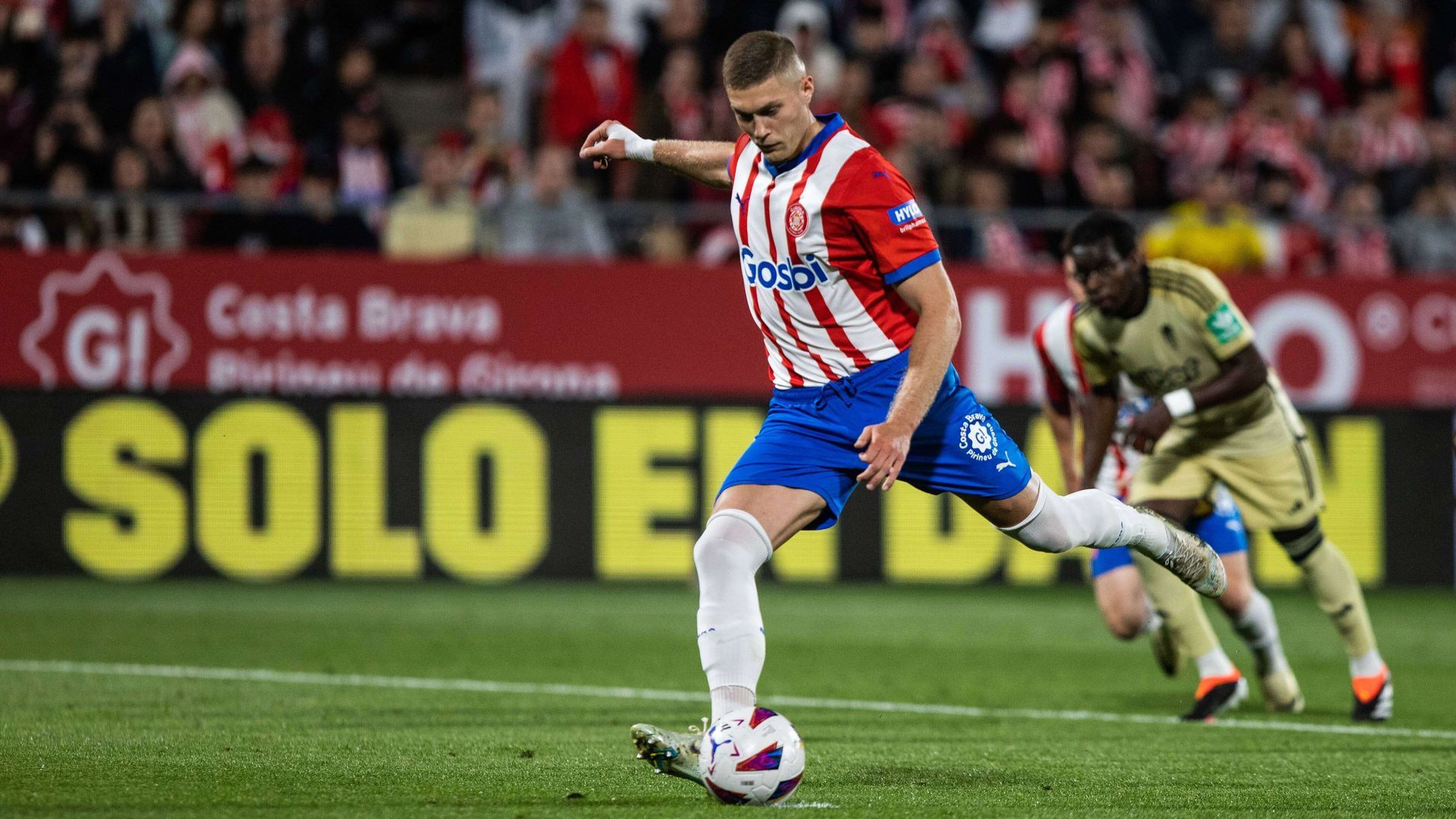 20240524_znp_s316_047jpg_001.jpg 20240524_znp_s316_047jpg_001.jpg