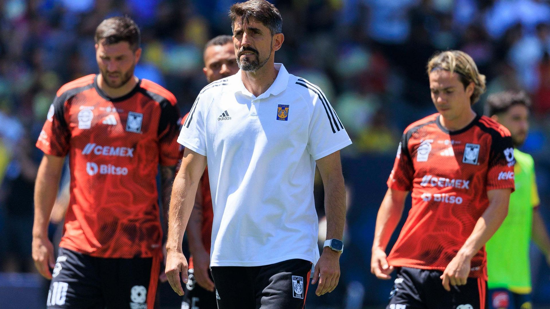 20240630_zaa_p124_039jpg.jpg 20240630_zaa_p124_039jpg.jpg