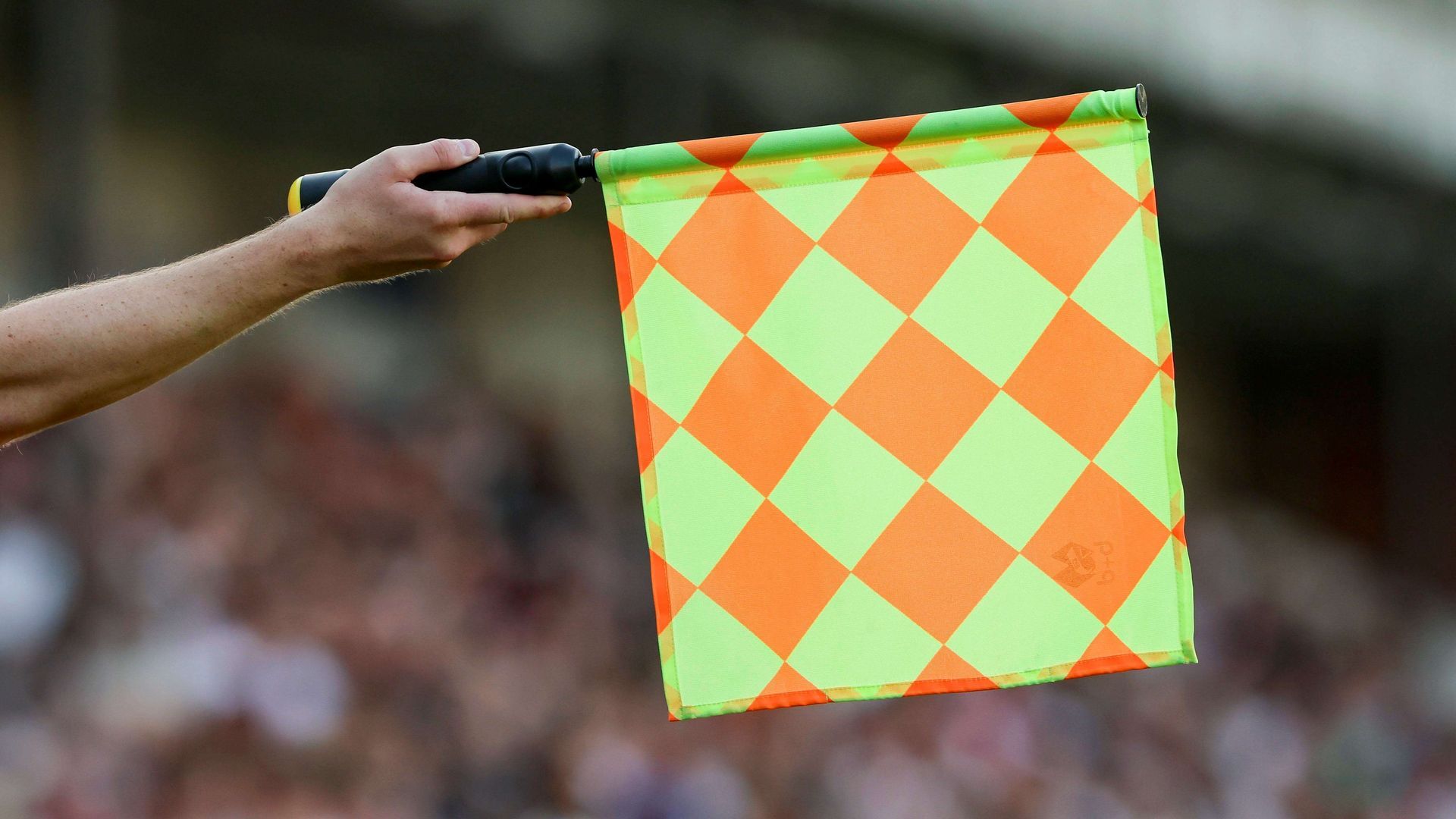 20240718_zsa_d278_528jpg.jpg 20240718_zsa_d278_528jpg.jpg