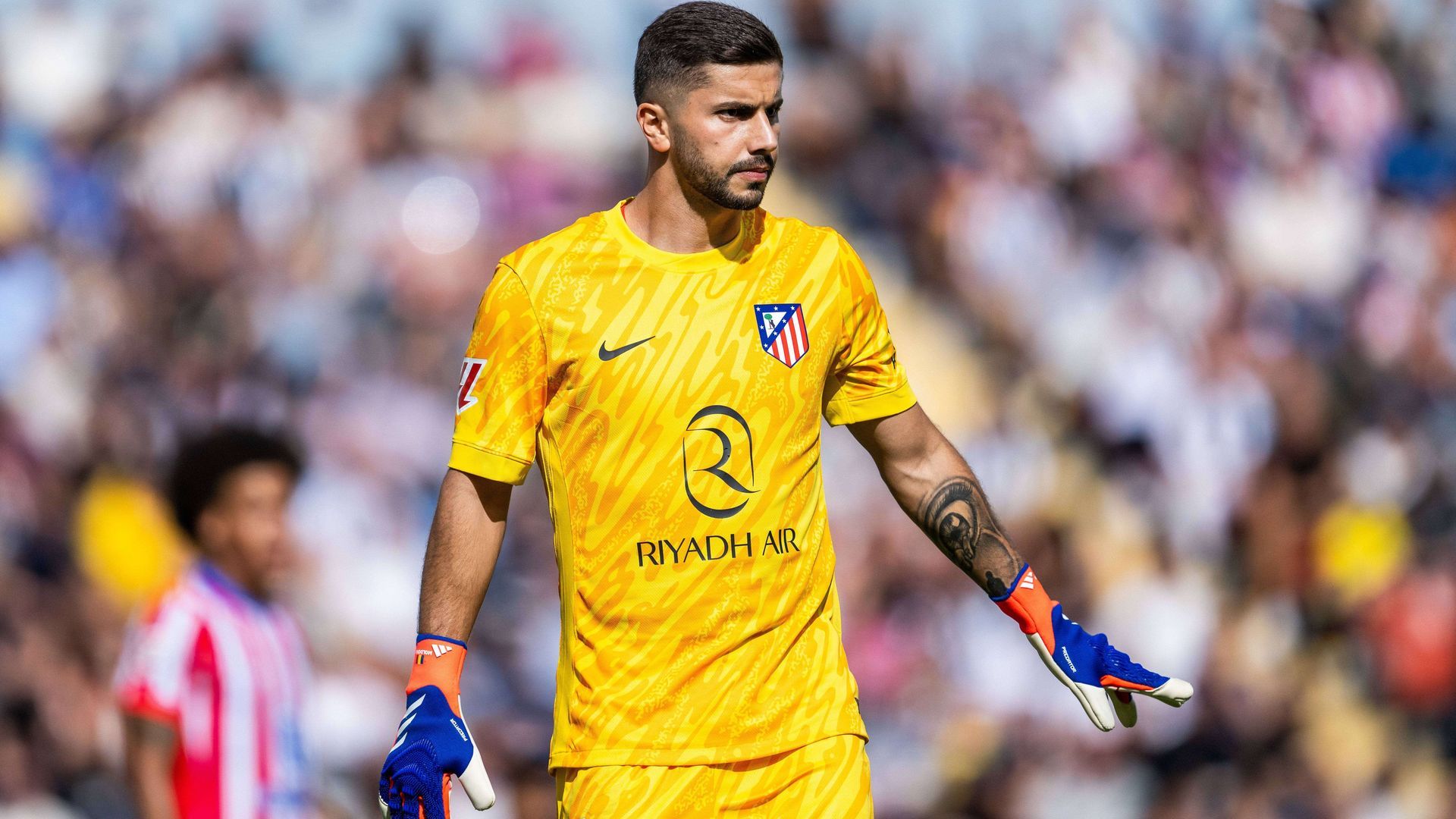 20240811_faa_b138_354jpg_001.jpg 20240811_faa_b138_354jpg_001.jpg