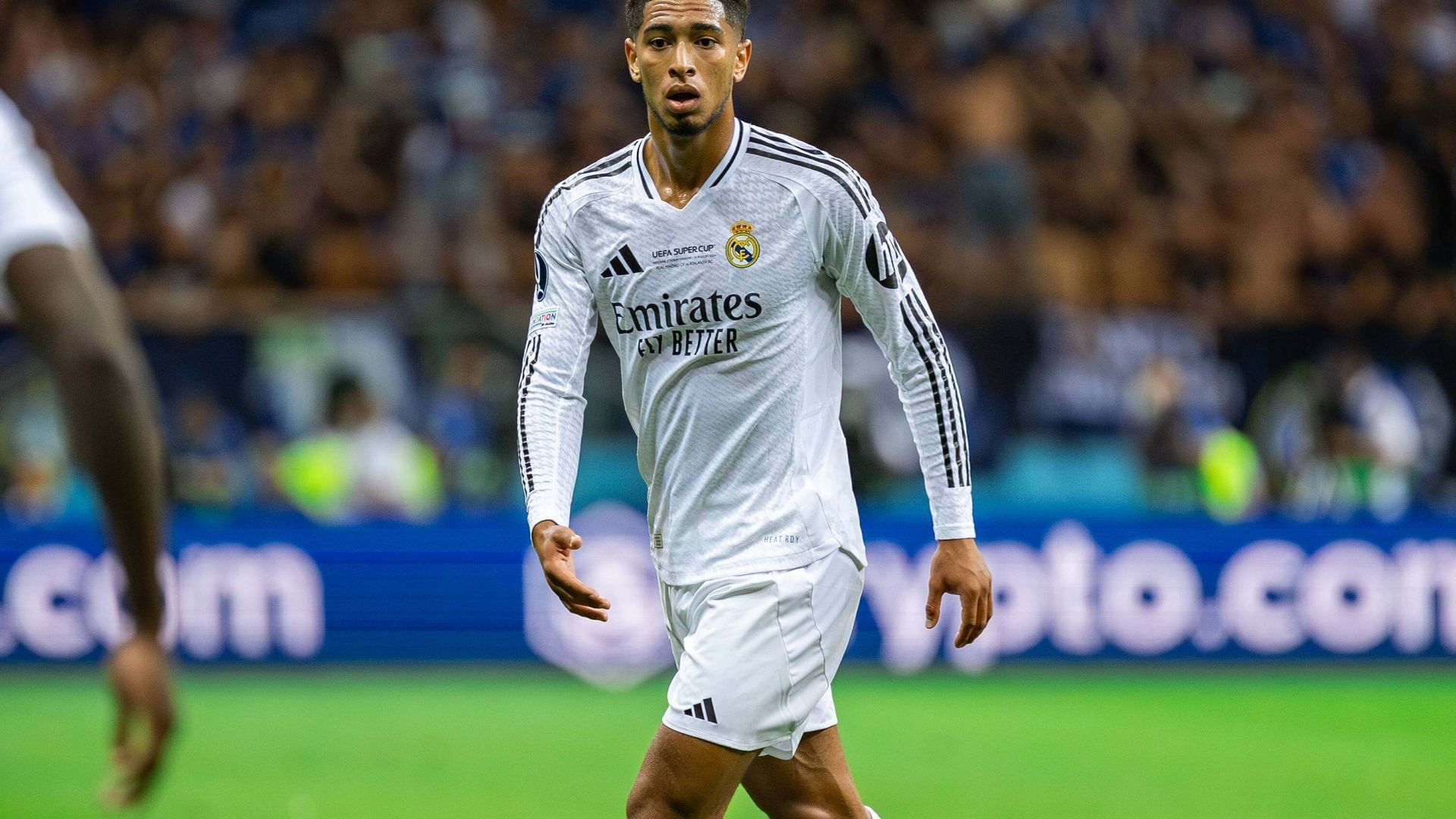 20240814_aab_s197_183jpg_001.jpg 20240814_aab_s197_183jpg_001.jpg