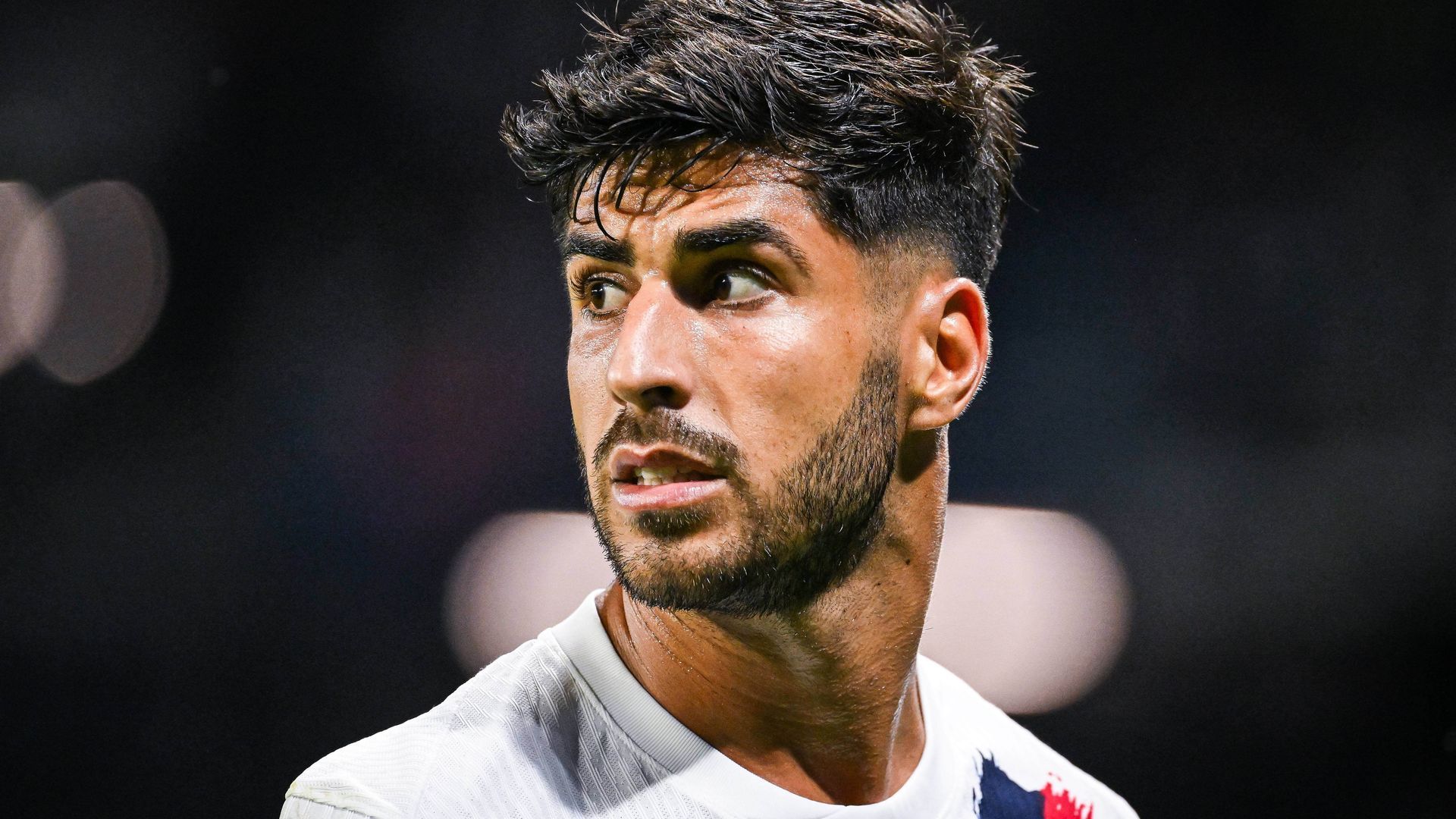 20240816_zsp_m308_057jpg_001.jpg 20240816_zsp_m308_057jpg_001.jpg