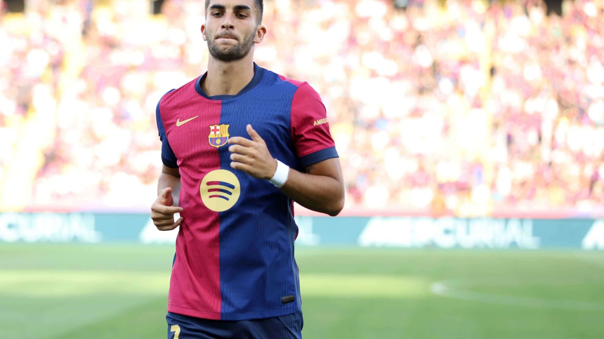 20240824_zsp_u50_003.jpg 20240824_zsp_u50_003.jpg