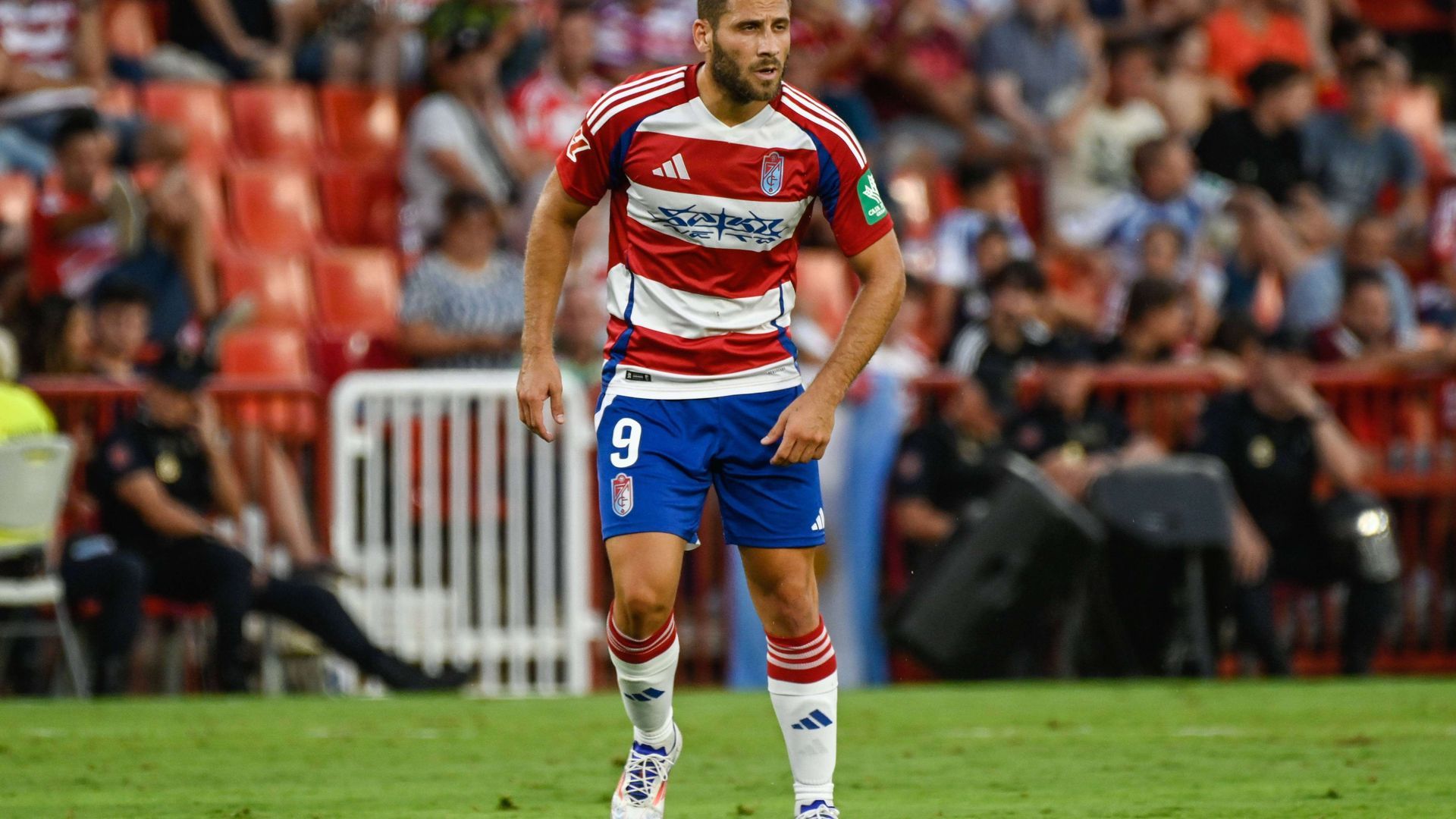 20240830_faa_p133_031jpg.jpg 20240830_faa_p133_031jpg.jpg