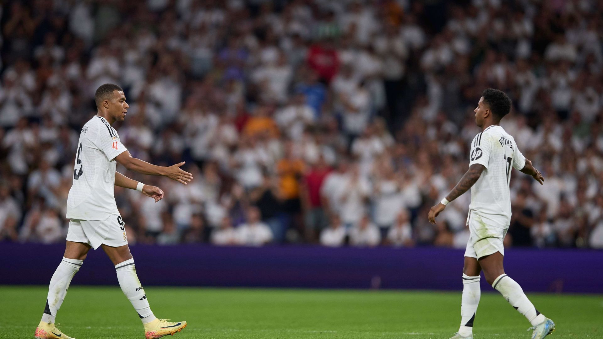 20240901_zsa_d278_618jpg_001.jpg 20240901_zsa_d278_618jpg_001.jpg