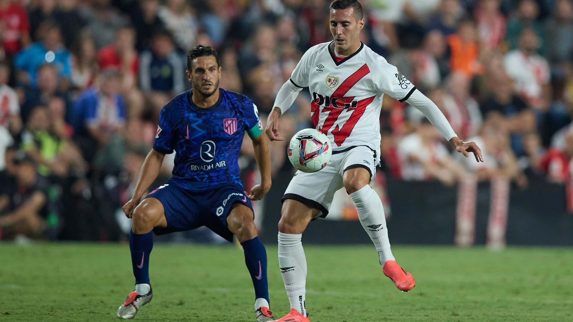 20240922_zsa_d278_613jpg.jpg 20240922_zsa_d278_613jpg.jpg