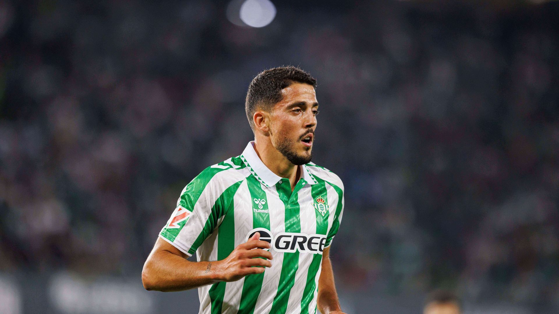 20240923_aaa_s197_293.jpg 20240923_aaa_s197_293.jpg