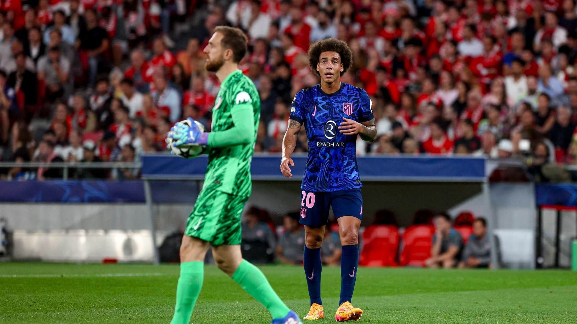 20241001_zsa_s248_117jpg.jpg 20241001_zsa_s248_117jpg.jpg