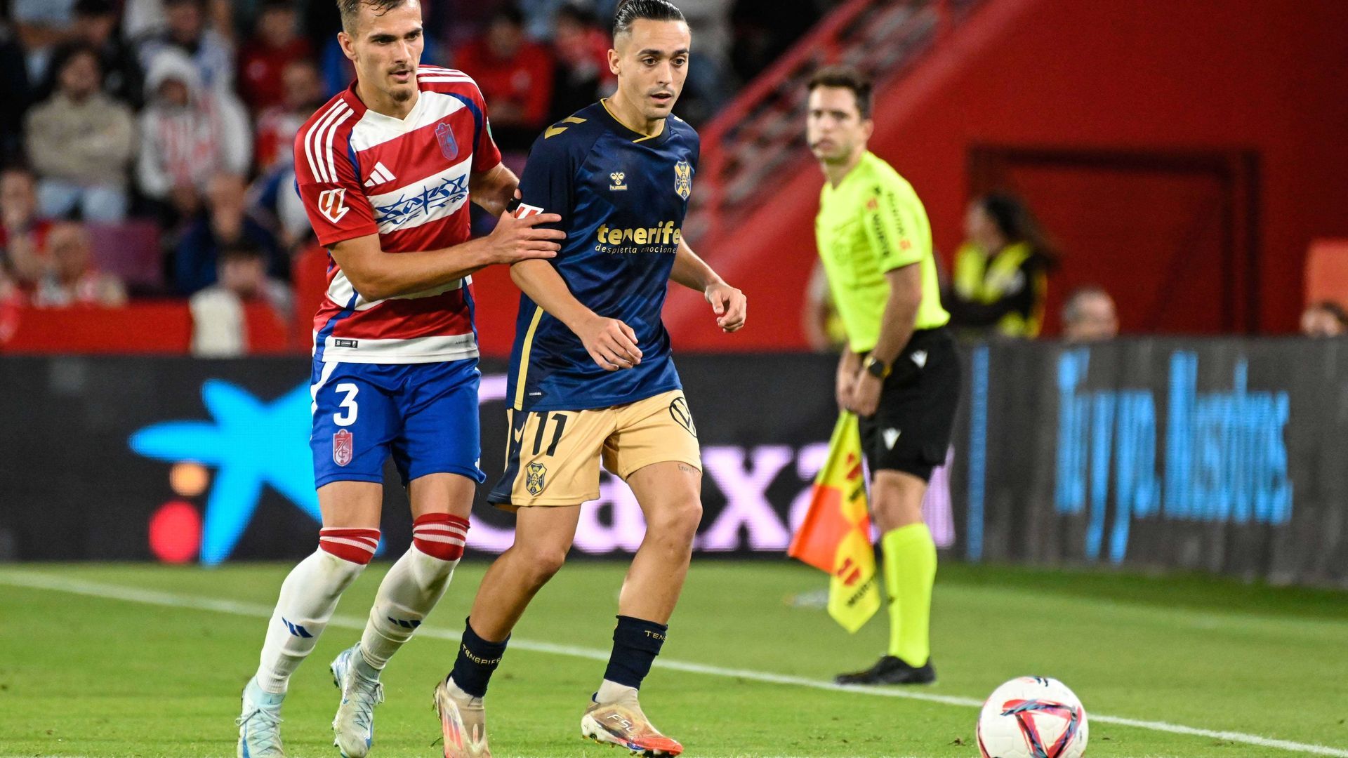 20241019_faa_p133_119jpg_001.jpg 20241019_faa_p133_119jpg_001.jpg