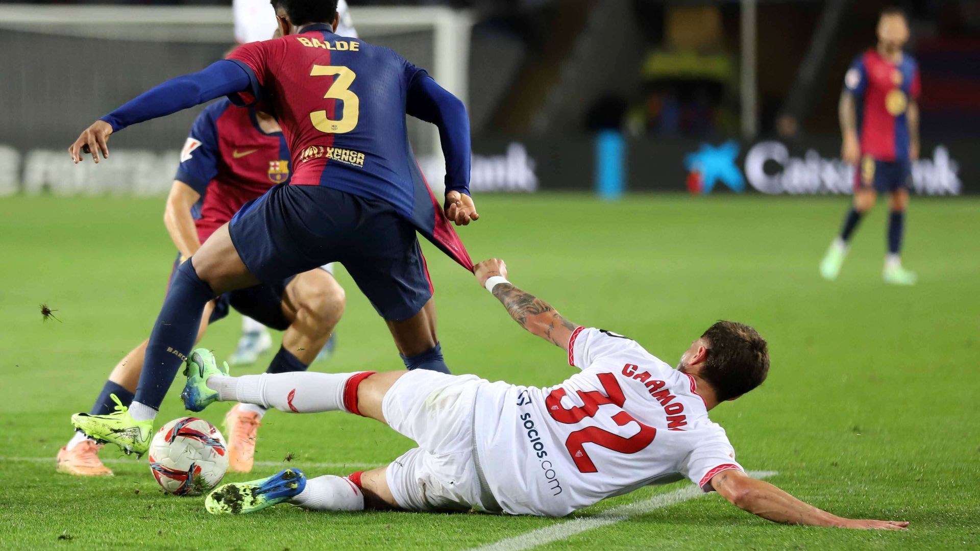 20241020_zsp_u50_060jpg.jpg 20241020_zsp_u50_060jpg.jpg