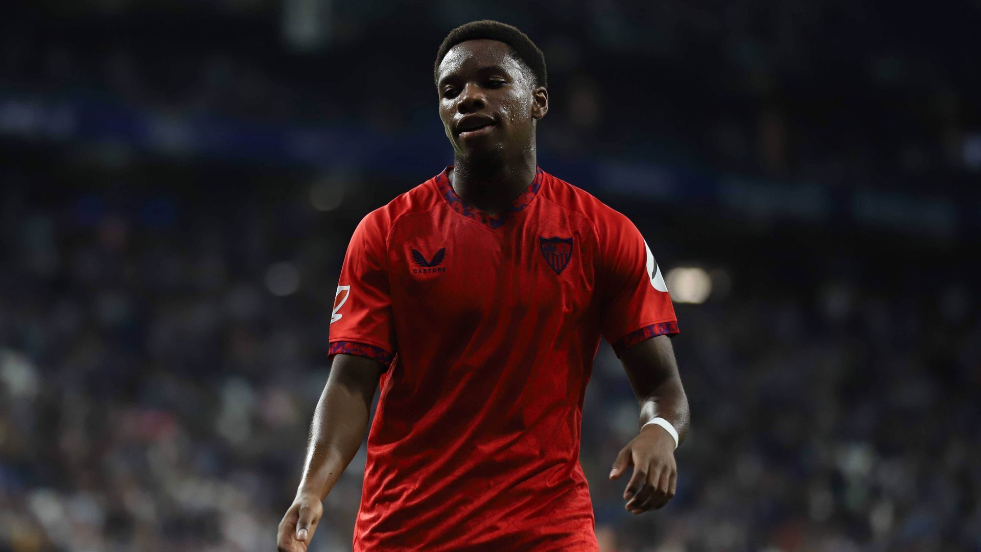 20241025_zsp_u50_010jpg.jpg 20241025_zsp_u50_010jpg.jpg