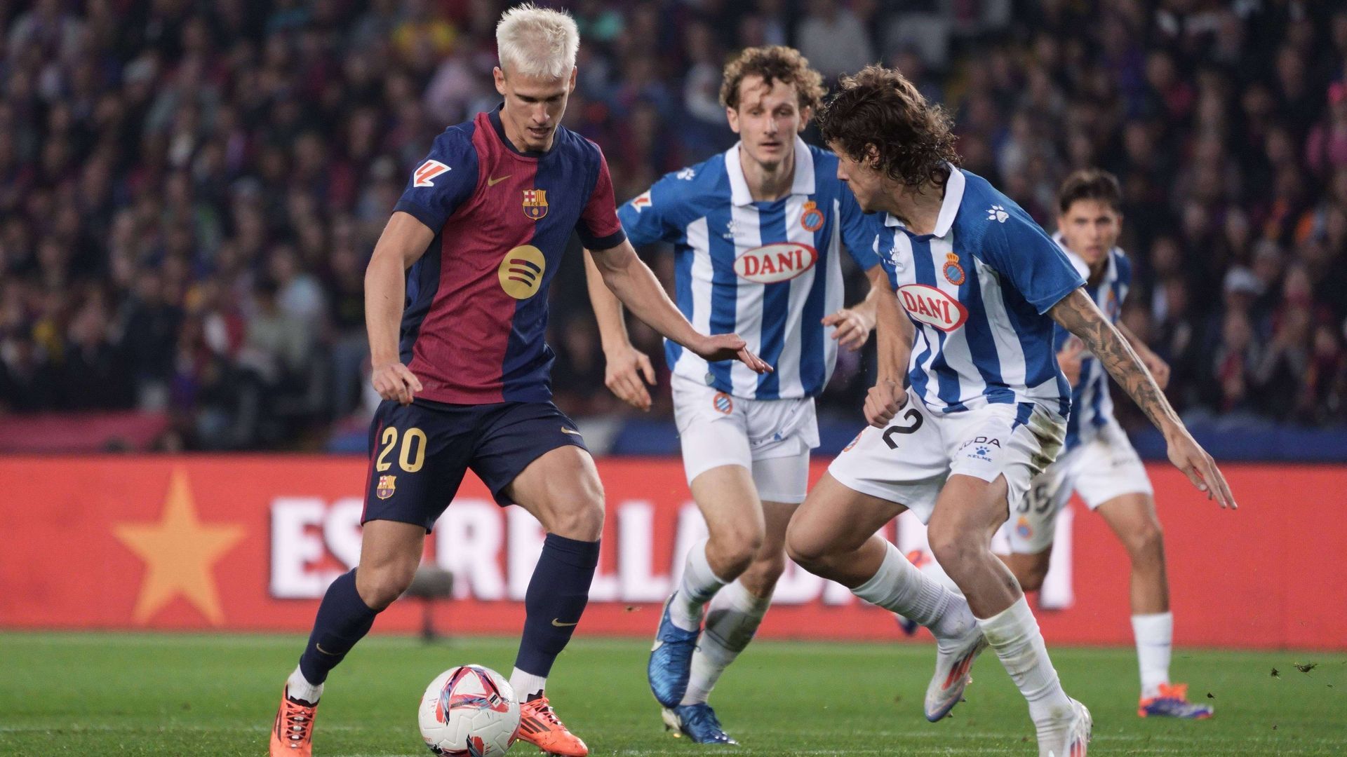 20241103_zsa_a193_488jpg_001.jpg 20241103_zsa_a193_488jpg_001.jpg