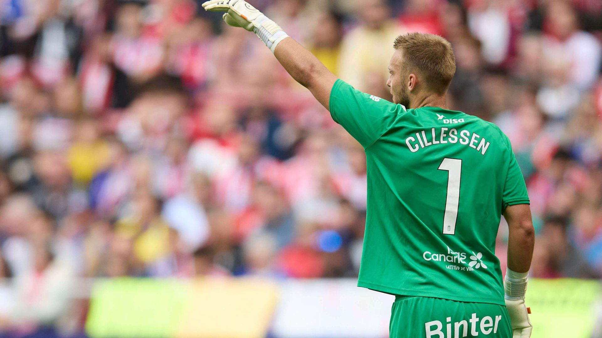 20241103_zsa_d278_085jpg.jpg 20241103_zsa_d278_085jpg.jpg