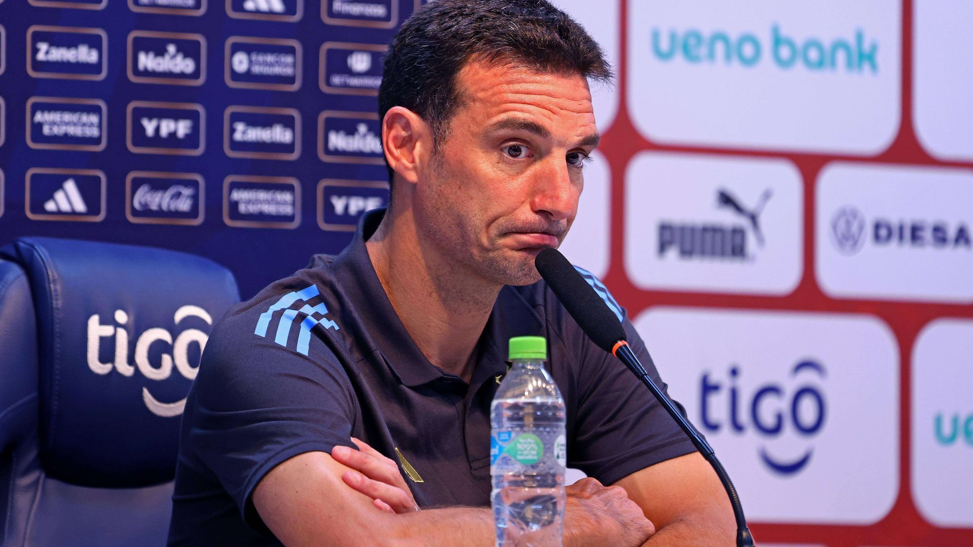 20241114_zsa_a193_390jpg.jpg 20241114_zsa_a193_390jpg.jpg