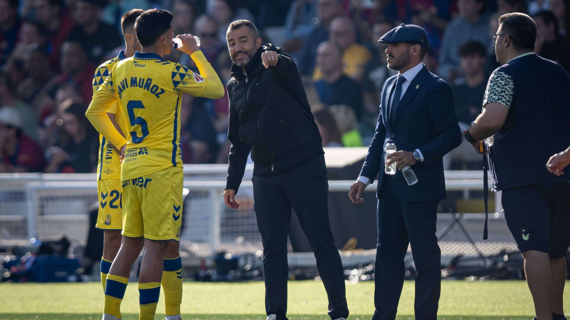 20241130_zsa_s349_053.jpg 20241130_zsa_s349_053.jpg