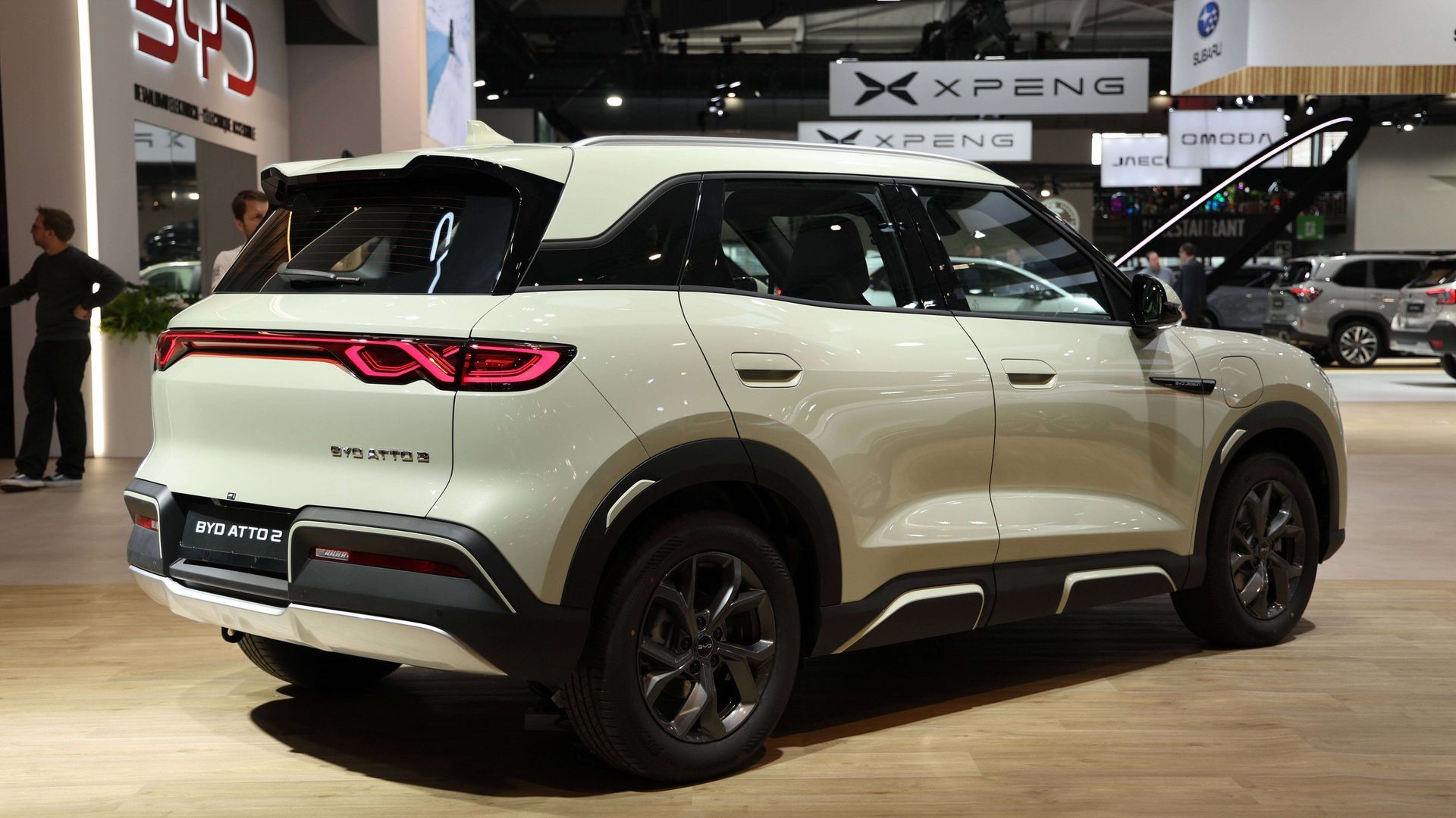 20250110_zsa_p264_087jpg.jpg 20250110_zsa_p264_087jpg.jpg