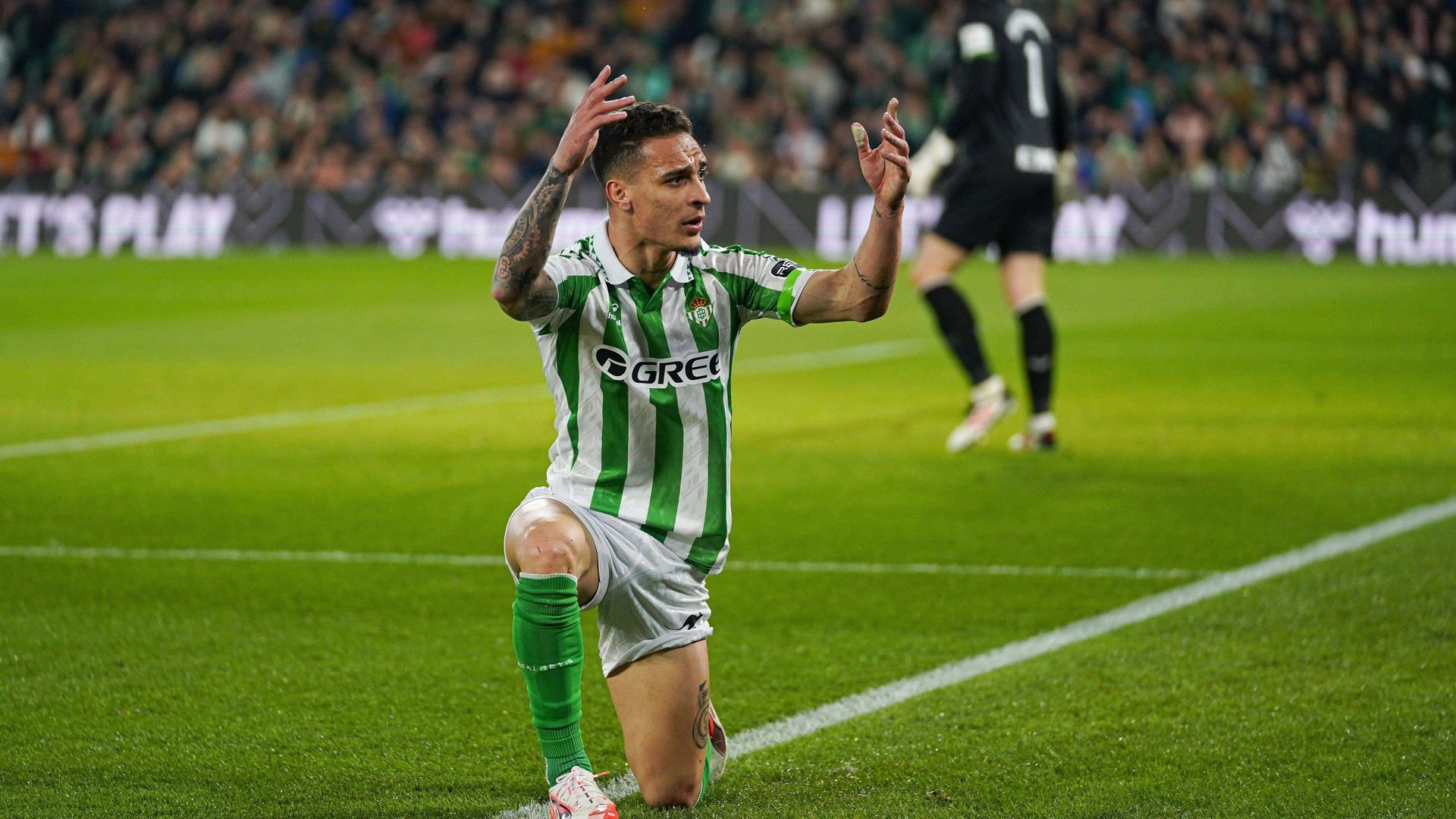 20250202_zaf_v61_010jpg.jpg 20250202_zaf_v61_010jpg.jpg